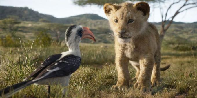"The Lion King": litt Simba og Zazu