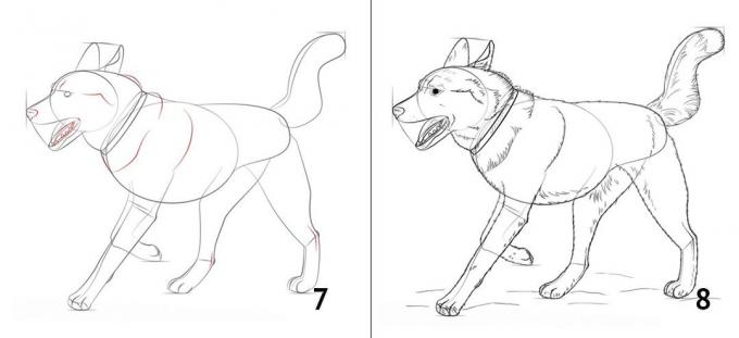 Hvordan tegne en hund
