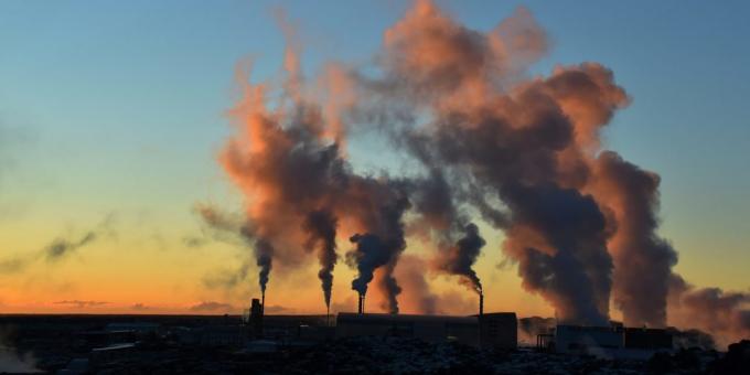 "The Sixth Extinction": Hvert år slipper vi ut i atmosfæren omtrent 9 milliarder tonn karbon