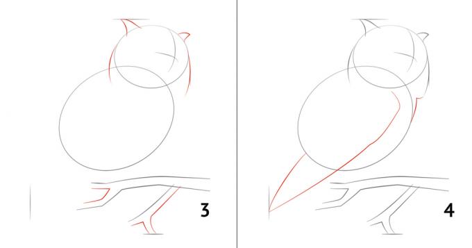 Hvordan tegne en ugle