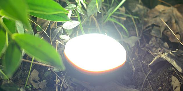 varer for piknik: bærbar LED lys