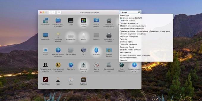 System MacOS innstillinger: Hvordan bruke søkefeltet