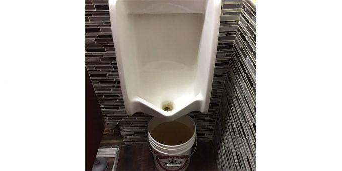 Design av restauranter: urinal i toalettet