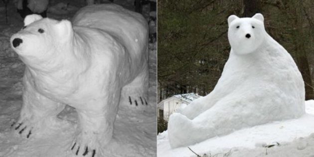 Bjørn i snøen
