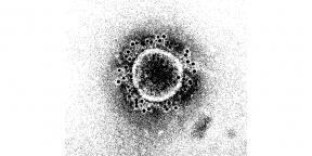 Hvor lenge vil immuniteten mot det nye coronavirusen vare?