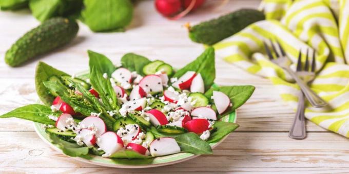 Salat med sorrel, reddik og cottage cheese