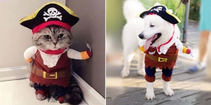 Kostymer for hunder og katter: Fluffy Pirate