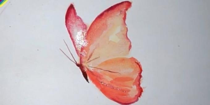 Hvordan tegne en realistisk sommerfugl farger