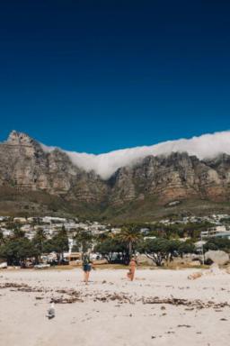 Turgåing med pingviner og vinsmaking: hva du skal se og hvor du skal dra i Cape Town