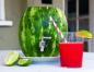 Hvordan lage et fat vannmelon med dispenser og nyte fersk juice