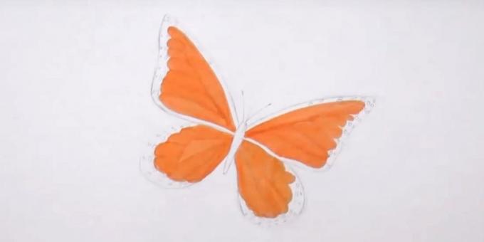 Tegne sirkler på kantene av de lavere vinger og en oransje markør for å markere detaljer