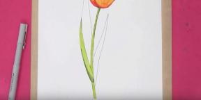 15 måter å tegne vakre tulipaner på