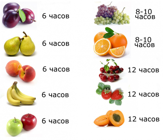 Hvordan tørke frukt