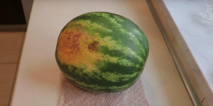 Finn en vannmelon med gule flekker