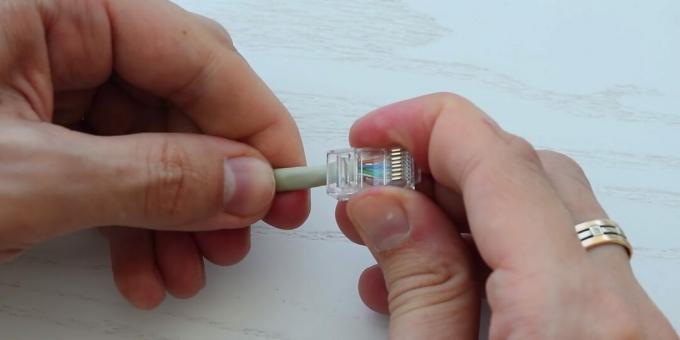 Slik krymper du en tvunnet kabel: Sett på kontakten