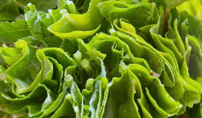 sunn mat: bladgrønnsaker