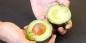 11 levetid hacking med avocado
