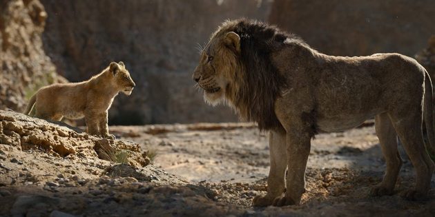 "The Lion King": Simba og Scar