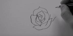 Hvordan å trekke en rose på 20 forskjellige måter