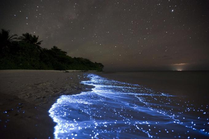 Bioluminescent Beach - Vaadhoo, Maldivene beste strender