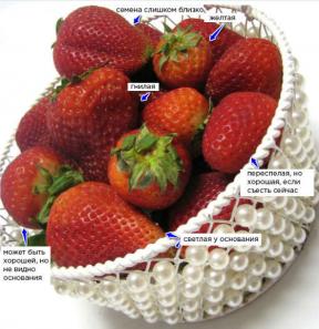 5 tips om hvordan du velger bare de mest saftig, søt og duftende jordbær i sommer