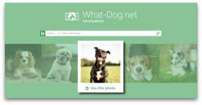Fetch - innovasjon fra Microsoft, som vil plukke opp hunden i bildet ditt