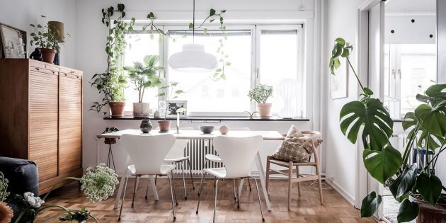 Skandinavisk stil i interiøret: levende planter