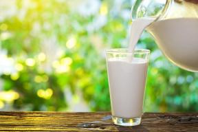 Hvor kommer melk: sannhet og myter om sin produksjon