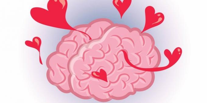 fakta om hjernen: Kjærlighet