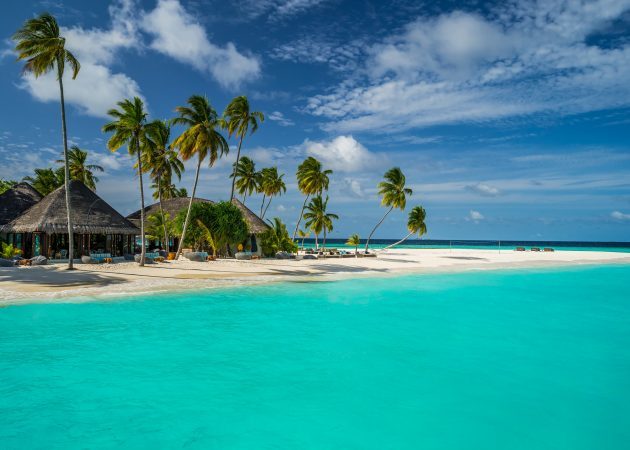 hvor du skal gå i høst: Maldivene