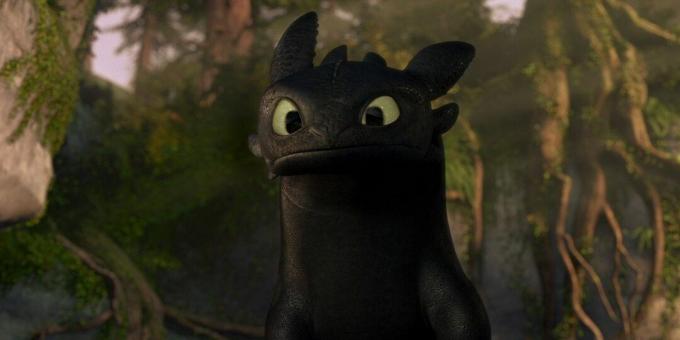 Dragon Cartoons: "How to Train Your Dragon"