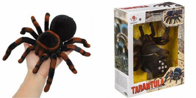 Krypende tarantula