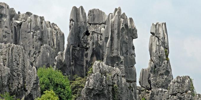 Asiatiske territorium bevisst tiltrekker seg turister: Shilin Stone Forest, Kina