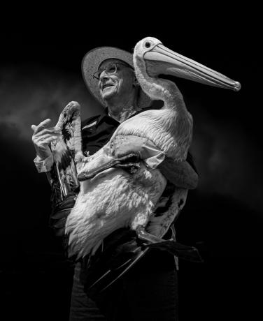 Pelican Owner av Tony Lowe