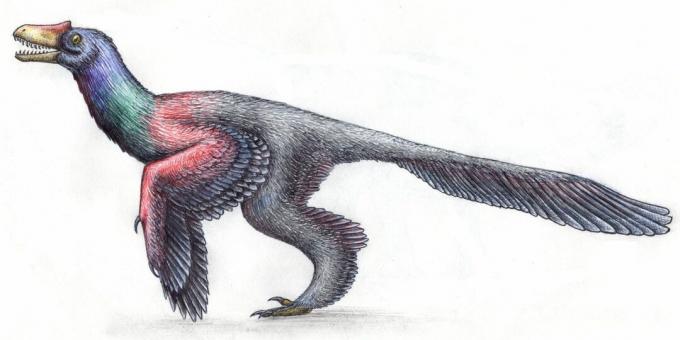 Gamle myter: dinosaurer så ut som reptiler