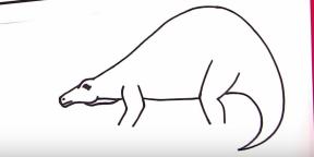 30 måter å tegne forskjellige dinosaurer på