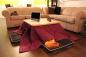 Varmer i japansk med en varm tabell kotatsu