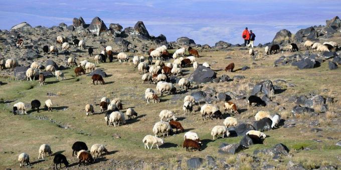 En tur til Armenia: hvordan og hvor du skal slappe av i naturen