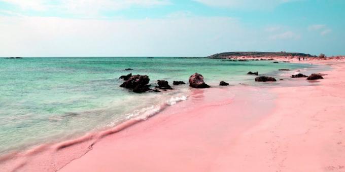 Utrolig vakkert sted: en rosa strand i Sardinia, Italia