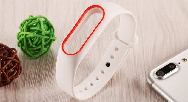 Stropper Xiaomi Mi Band 2