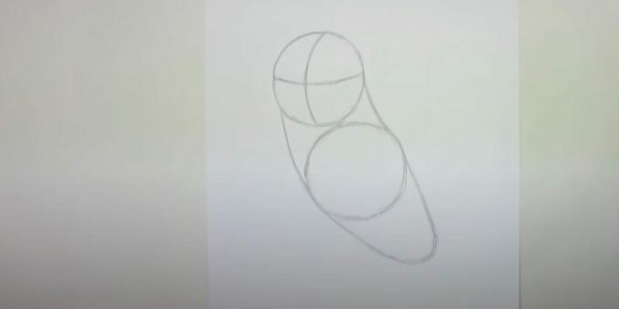 Hvordan tegne en ugle: skissere kropp, bryst og nakke