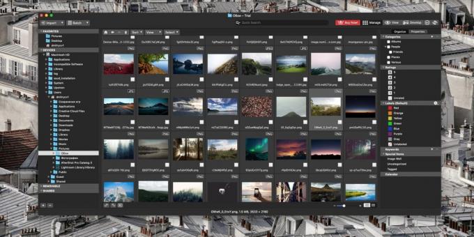 Hvordan organisere en samling av bilder: ACDSee Photo Studio