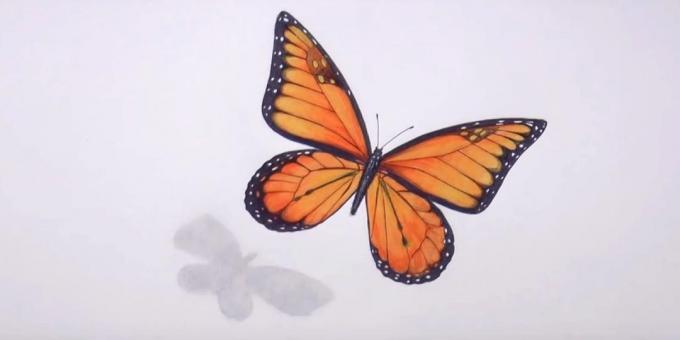 Slett blyantskisser og svart farge tweak sommerfugl mønster