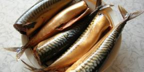 7 måter å raskt og velsmakende pickle makrell hjemme