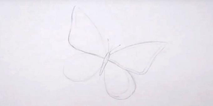 Tegn kroppen, antenner og vinger tegne en kant