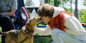 "Å stikke en valpes nese i sølepyttene er det mest skadelige rådet": intervjuer med eksperter på hundeadferd