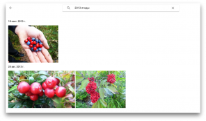 10 grunner til å velge Google Bilder for lagring av bilder