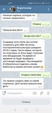 Telegram bot Vsratoslav lager et meme fra ethvert bilde