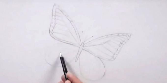 Tegne sirkler rundt kantene på høyre ving og venstre ving mark mønsteret