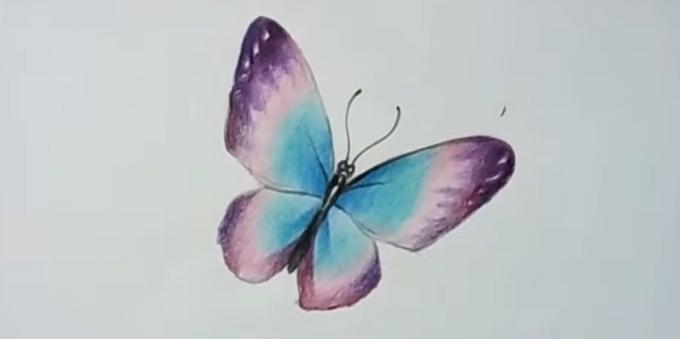 Legg til mer mettede farger lilla sommerfuglvinger
